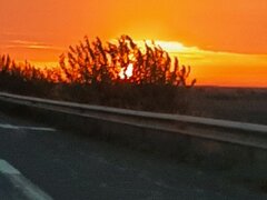 Doamna pensionara Bucuresti