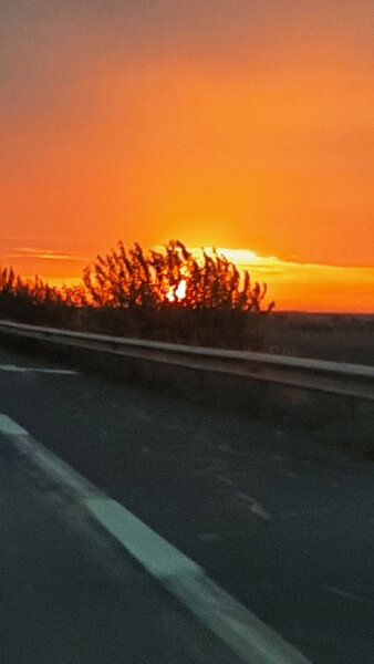 Doamna pensionara Bucuresti